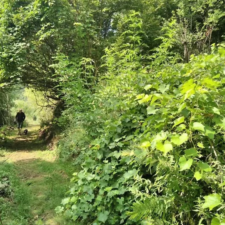 Les Faysses De L'hetre Burzet