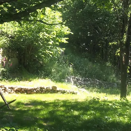 Tente Tipi En Pleine Foret Luxury tent