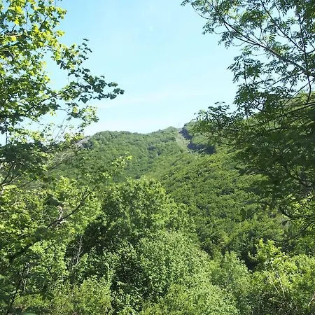 Tente Tipi En Pleine Foret Burzet